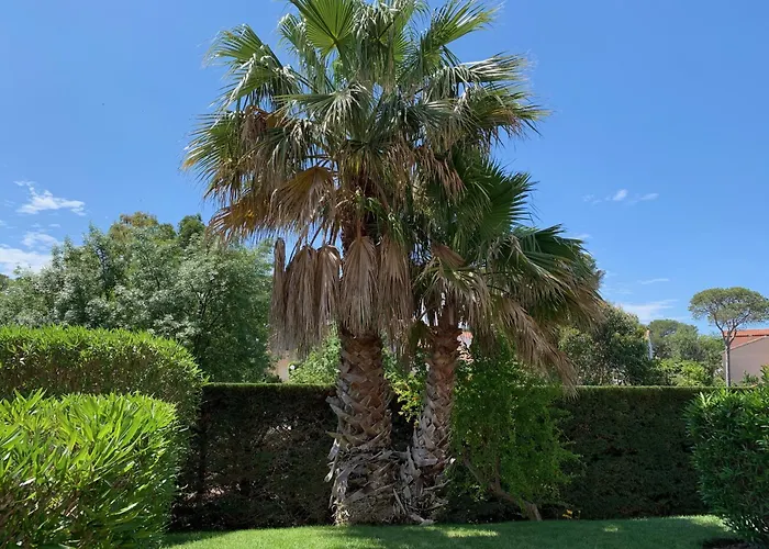 La Terrasse De Santa Lucia * Saint-Raphaël