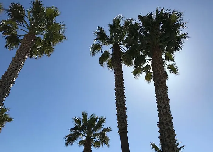 La Terrasse De Santa Lucia * Saint-Raphaël