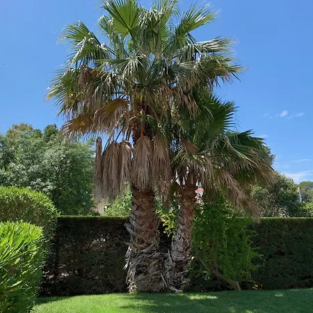 La Terrasse De Santa Lucia * Saint-Raphael (Var)